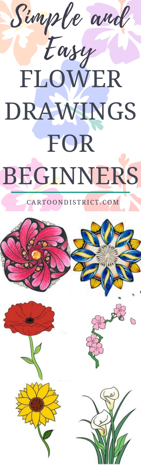 Simple and Easy Flower Drawings for Beginners