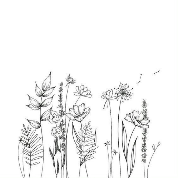 Simple and Easy Flower Drawings for Beginners