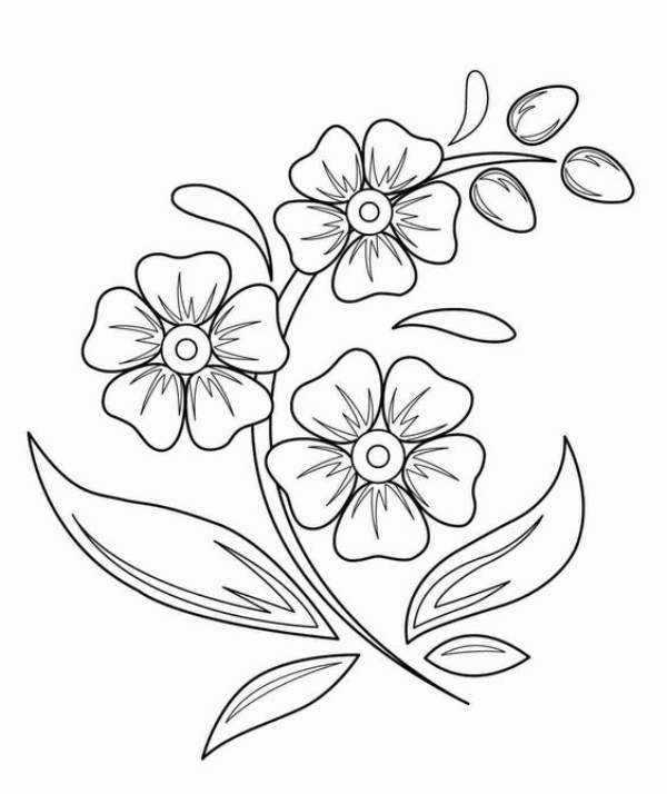 Simple and Easy Flower Drawings for Beginners