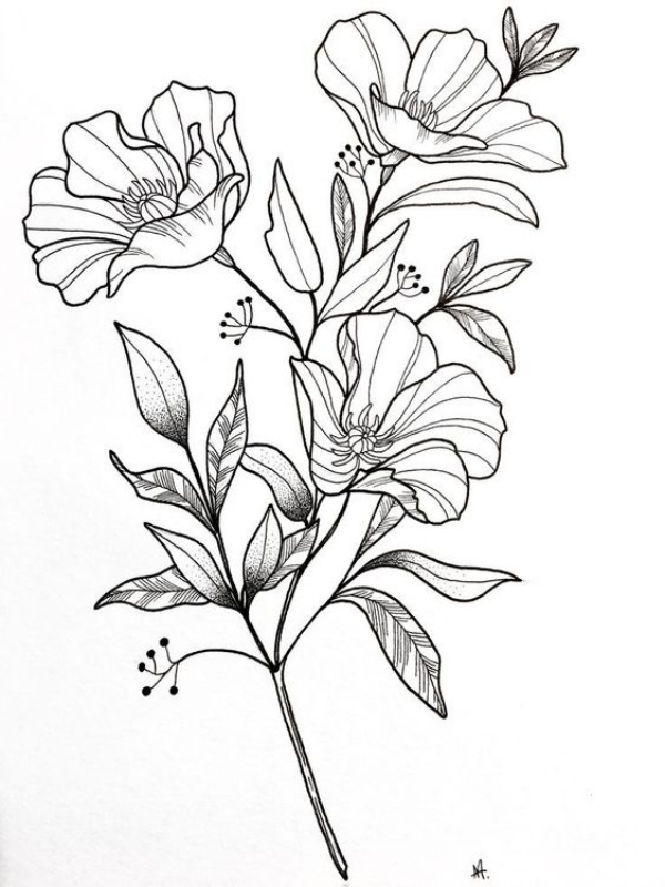 42 Simple And Easy Flower Drawings For Beginners - Cartoon District