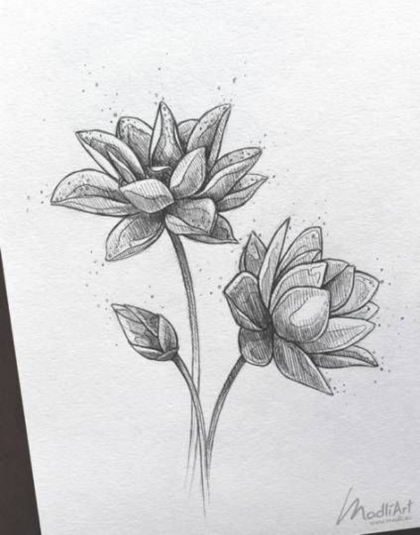 42 Simple and Easy Flower Drawings for Beginners - Cartoon District