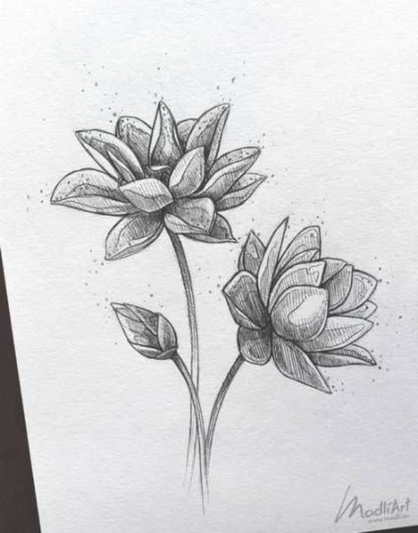 Simple and Easy Flower Drawings for Beginners