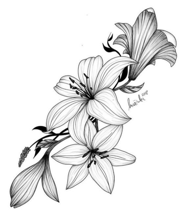 Simple and Easy Flower Drawings for Beginners