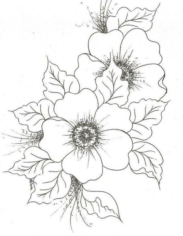 Simple and Easy Flower Drawings for Beginners