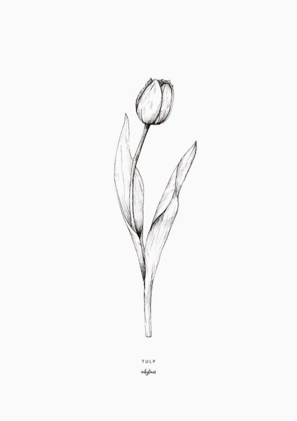 Simple and Easy Flower Drawings for Beginners