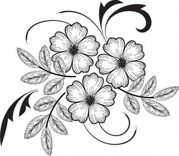 Simple and Easy Flower Drawings for Beginners