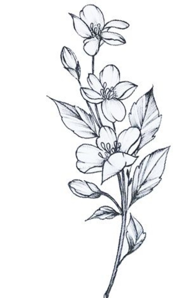 Simple Cute Easy Drawings Of Flowers - macabrehallucination