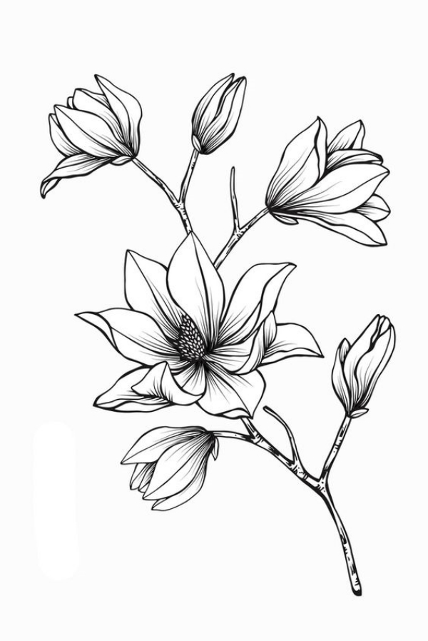 42 Simple and Easy Flower Drawings for Beginners - Cartoon District