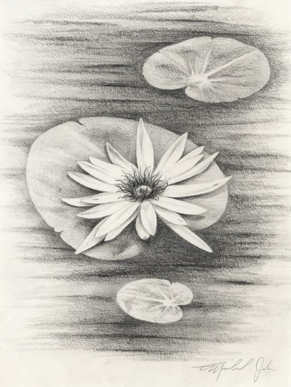 Simple and Easy Flower Drawings for Beginners