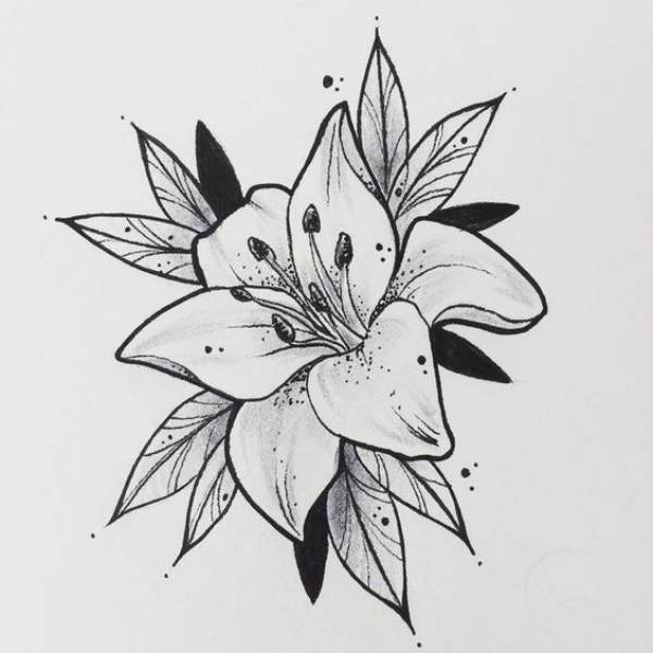 Simple and Easy Flower Drawings for Beginners