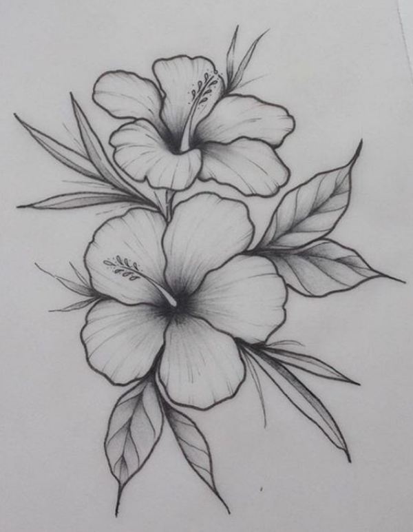 Simple and Easy Flower Drawings for Beginners