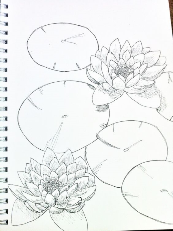 Simple and Easy Flower Drawings for Beginners