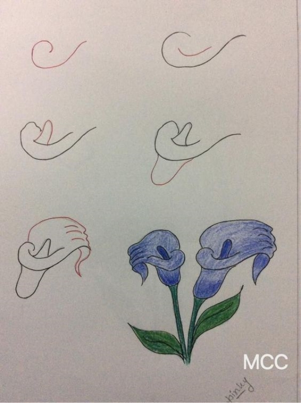 Simple and Easy Flower Drawings for Beginners