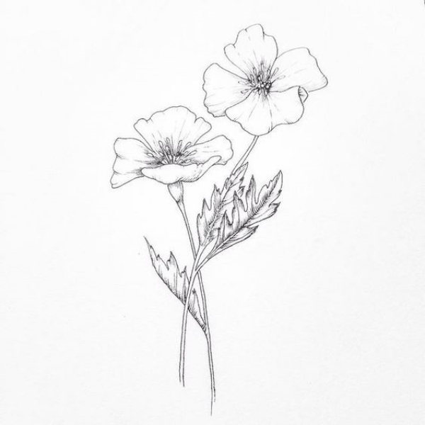 Simple and Easy Flower Drawings for Beginners