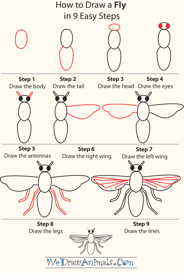 Cool and Simple Drawings Ideas To Kill Time/How to Draw a Fly