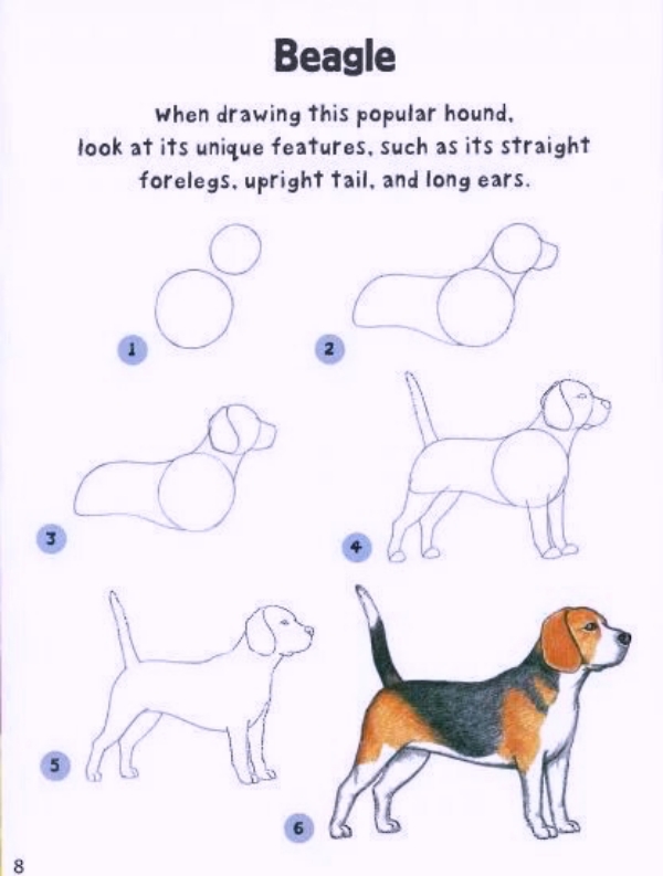 Cool and Simple Drawings Ideas To Kill Time/How to Draw adopt me pets