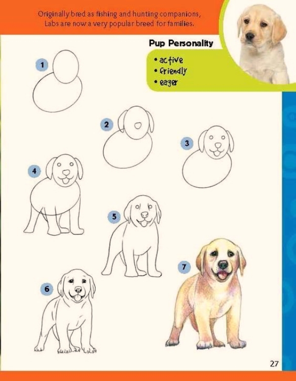 Cool and Simple Drawings Ideas To Kill Time/How to Draw adopt me pets